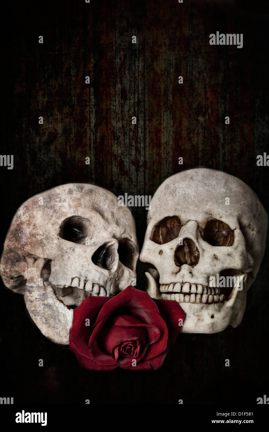 zwei Schädel, für immer verbunden in der ewigen Liebe, mit einer roten rose Stockfoto