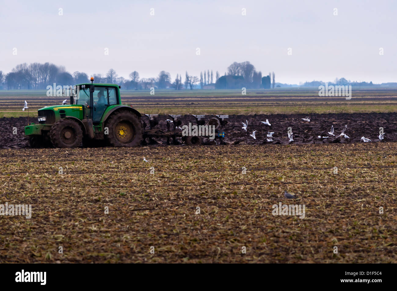 Fenland Winter Pflügen Cambridgeshire fens Stockfoto