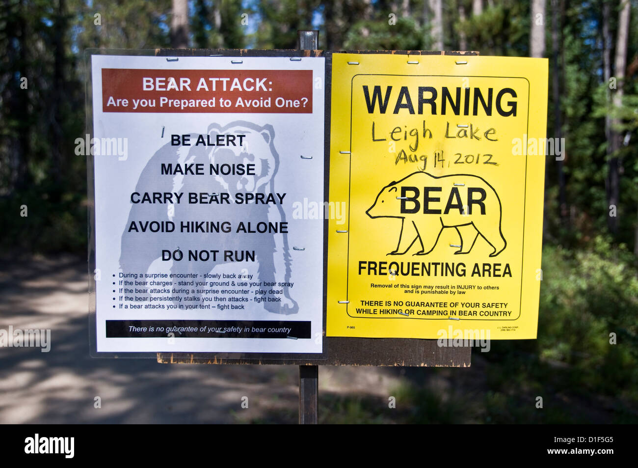 Informationen und Regeln zu unterzeichnen, über Bären auf einem Rundweg um Leigh Lake - Grand Teton Nationalpark, Wyoming, USA Stockfoto