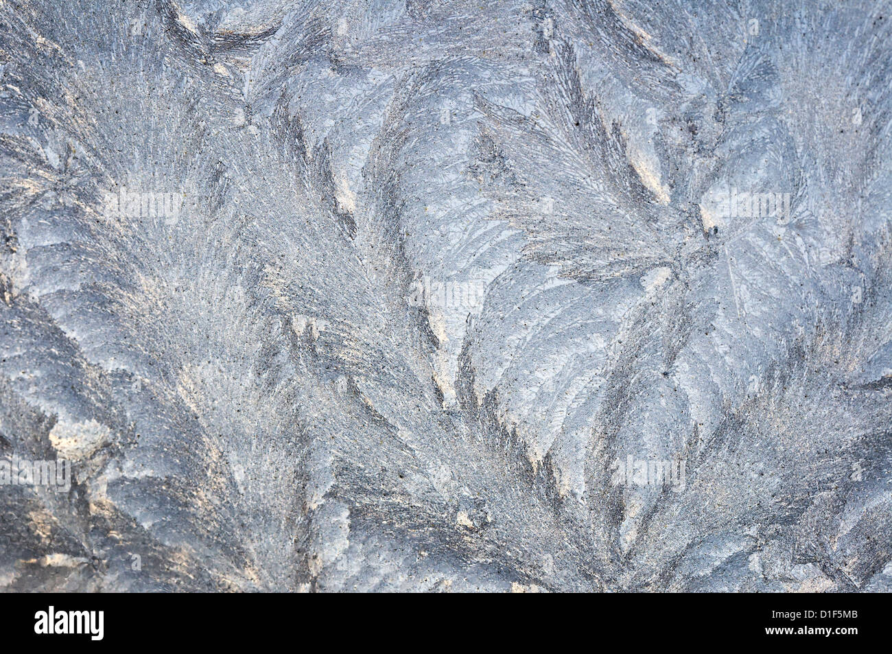 Frost in einem Fenster Stockfoto