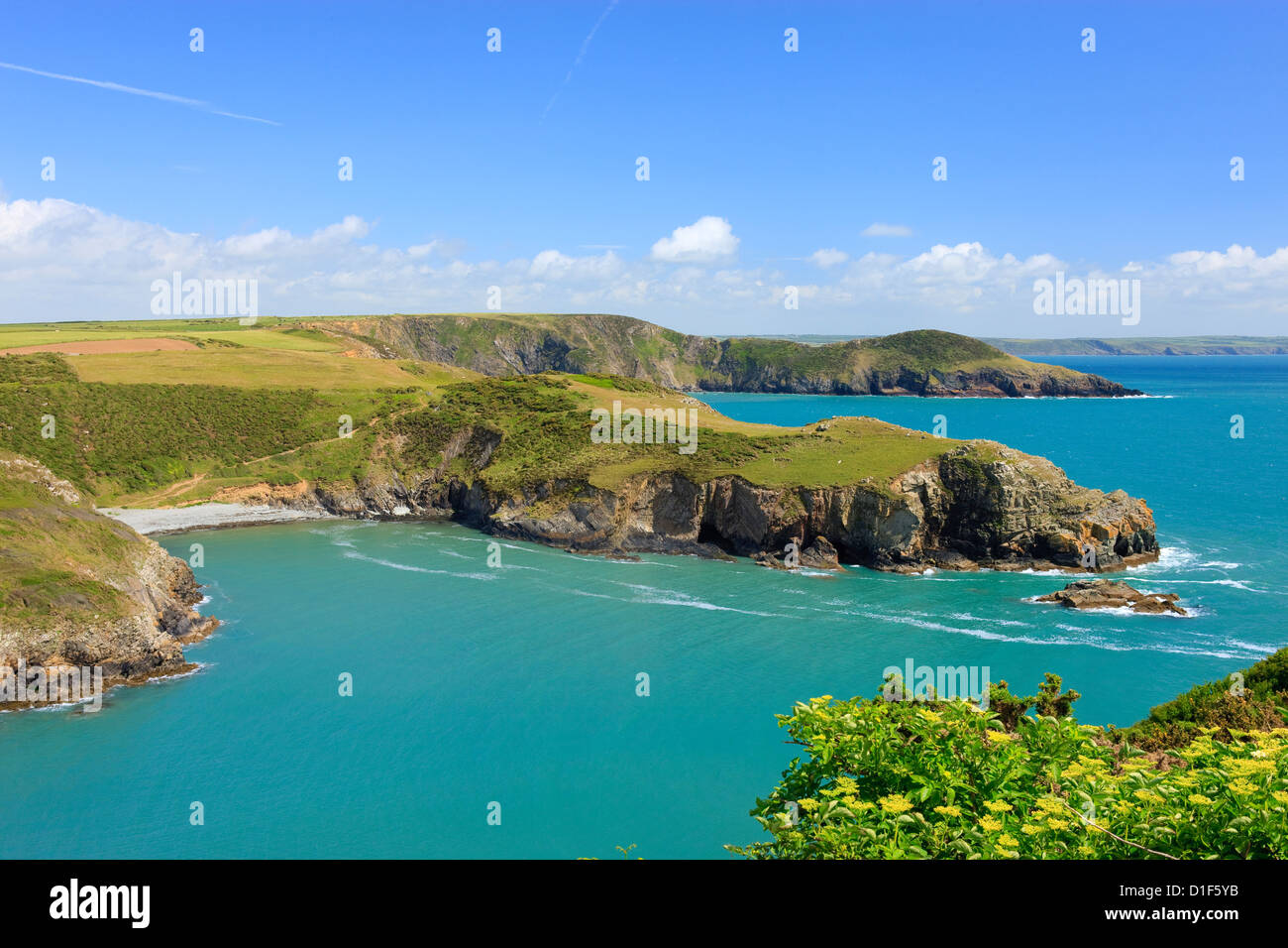 Auf der Suche nach Penrhyn Solva St Brides Bay Pembrokeshire Wales Stockfoto