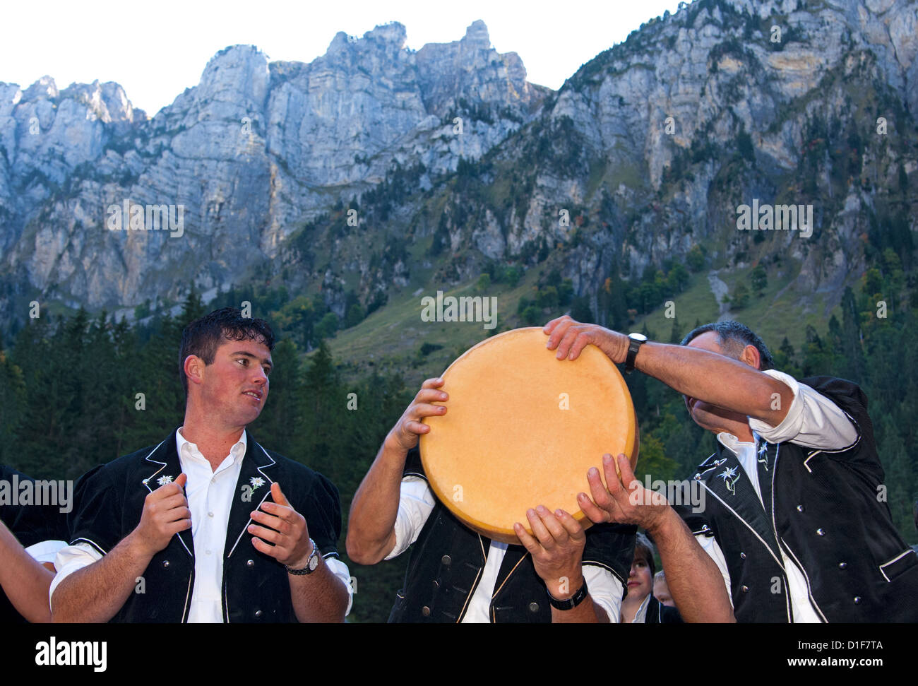 Hirten Hand-Carry Runden Schweizer Alpkäse Truckles beim Chästeilet Event, Beatenberg, Schweiz Stockfoto