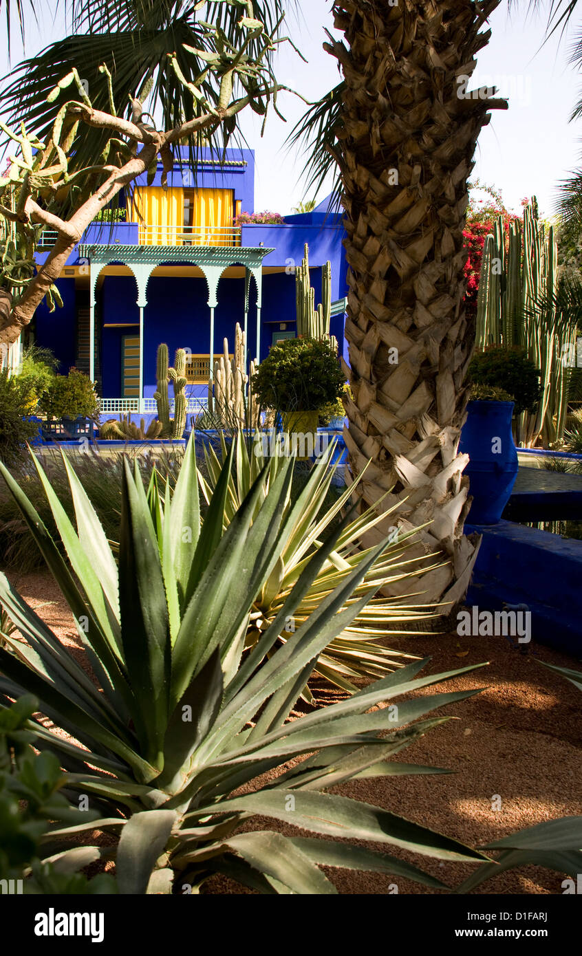Majorelle Garten Marokko Stockfotos und bilder Kaufen Alamy