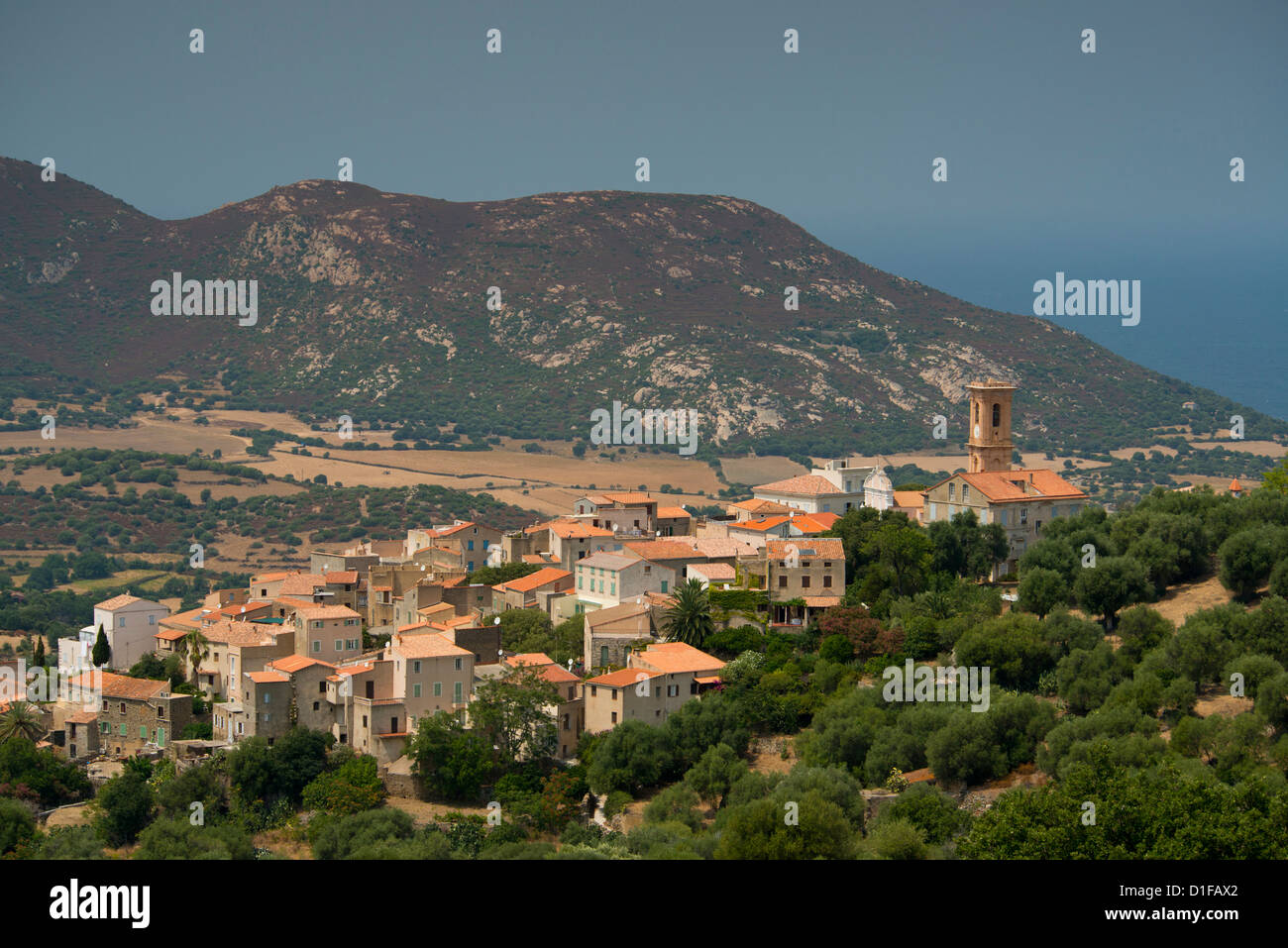 Einen erhöhten Blick auf das malerische Dorf Aregno in der Binnenschifffahrt Haute Balagne Region, Korsika, Frankreich, Mittelmeer, Europa Stockfoto