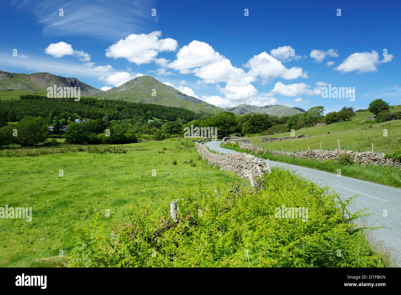 Der Old Man of Coniston, Nationalpark Lake District, Cumbria, England, Vereinigtes Königreich, Europa Stockfoto