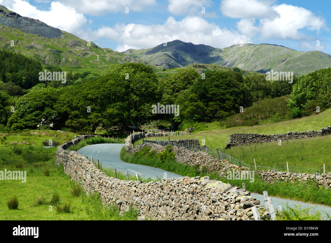 Coniston Fells, Torver, Nationalpark Lake District, Cumbria, England, Vereinigtes Königreich, Europa Stockfoto