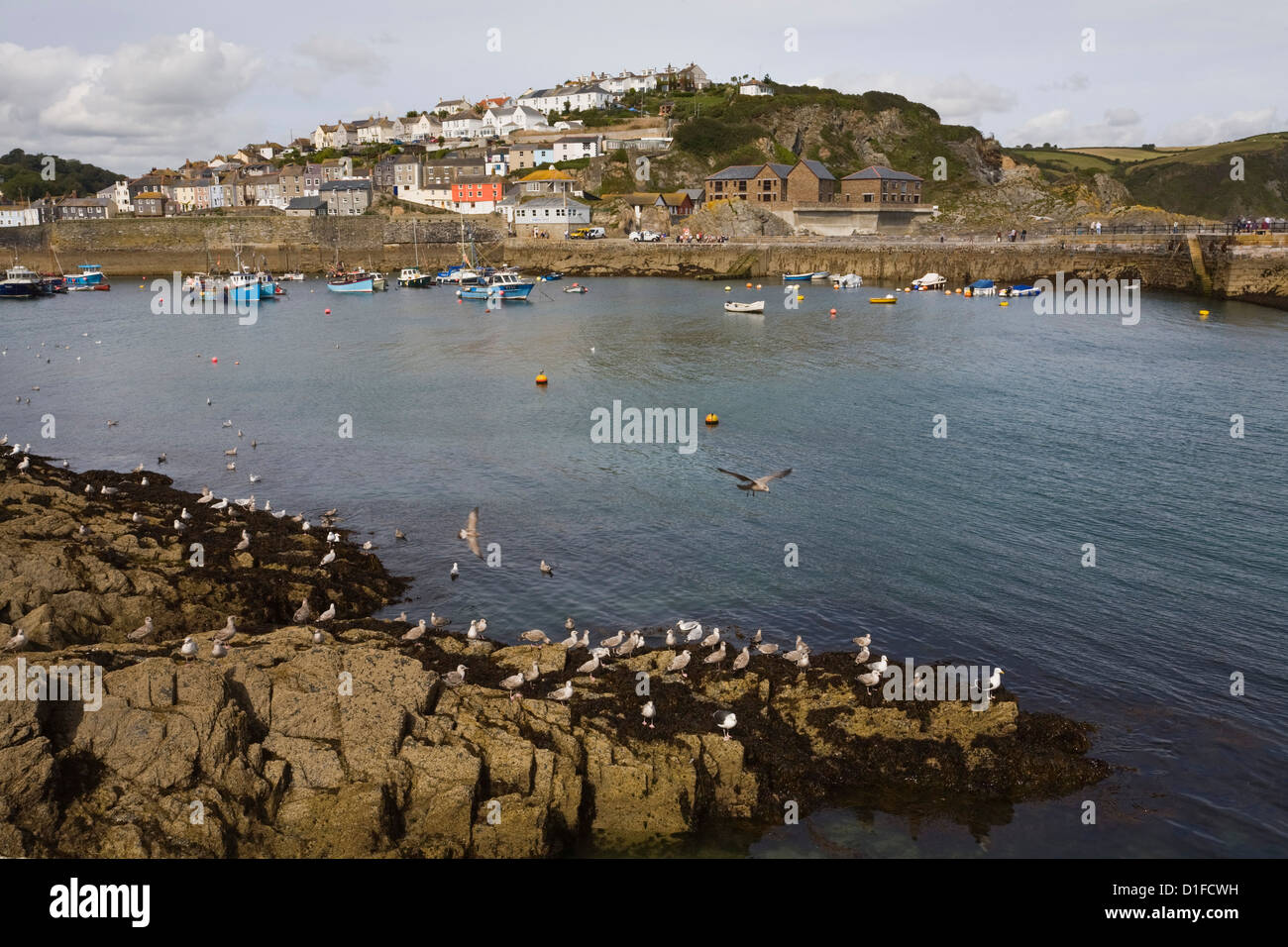 Mevagissey, St. Austell, Cornwall, England, Vereinigtes Königreich, Europa Stockfoto