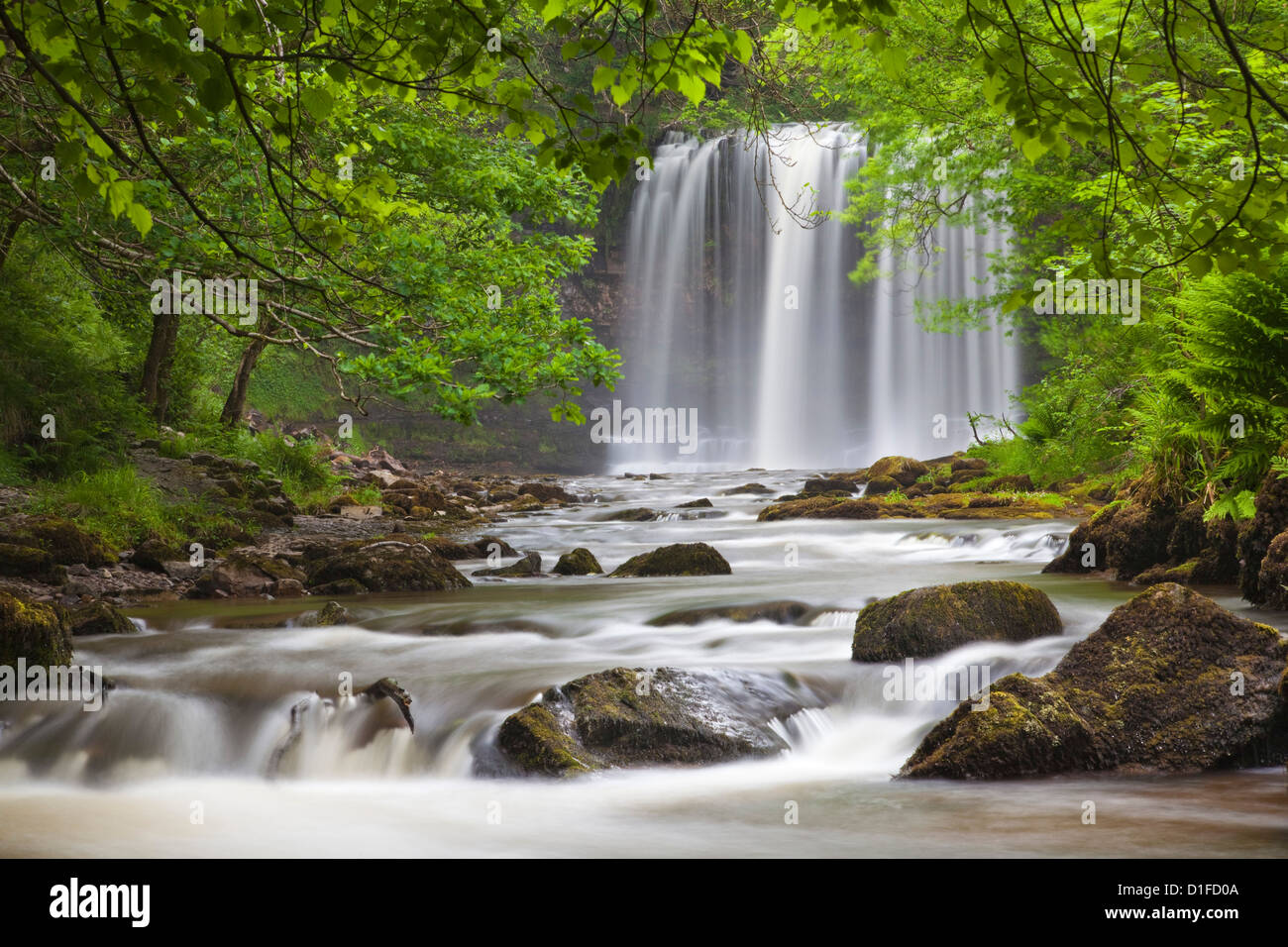 Sgwd yr Eira Wasserfall, Brecon Beacons, Wales, Vereinigtes Königreich, Europa Stockfoto