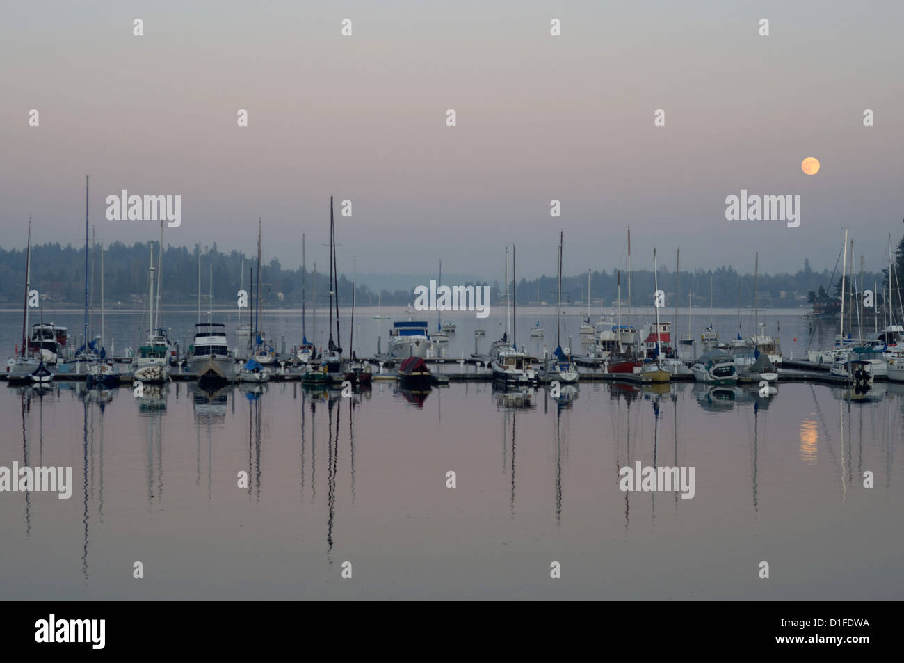 Boote zu reflektieren, auf dem Puget Sound Quartermaster bei Burton Marina, Vashon Island, Washington State, USA Stockfoto