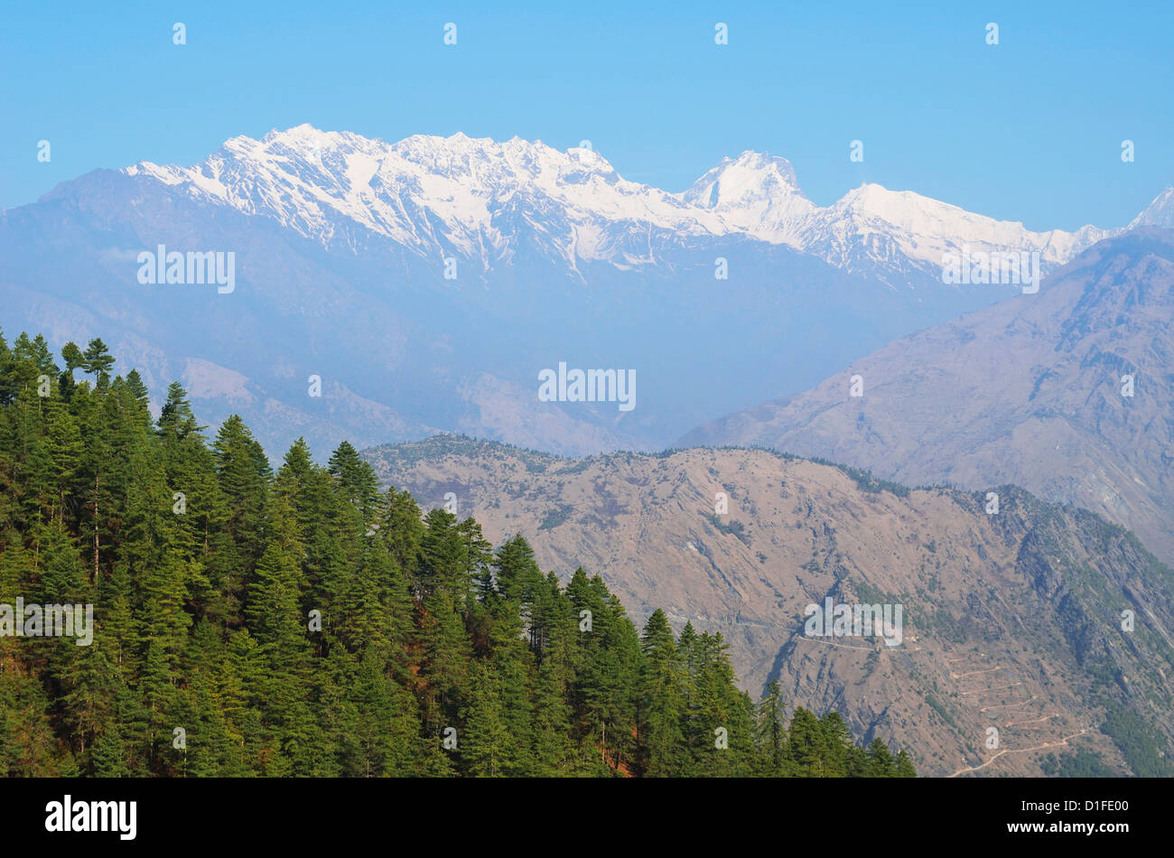 Blick auf Langtang-Gebirge, Langtang Nationalpark, Bagmati, Central Region (Madhyamanchal), Nepal, Himalaya, Asien Stockfoto
