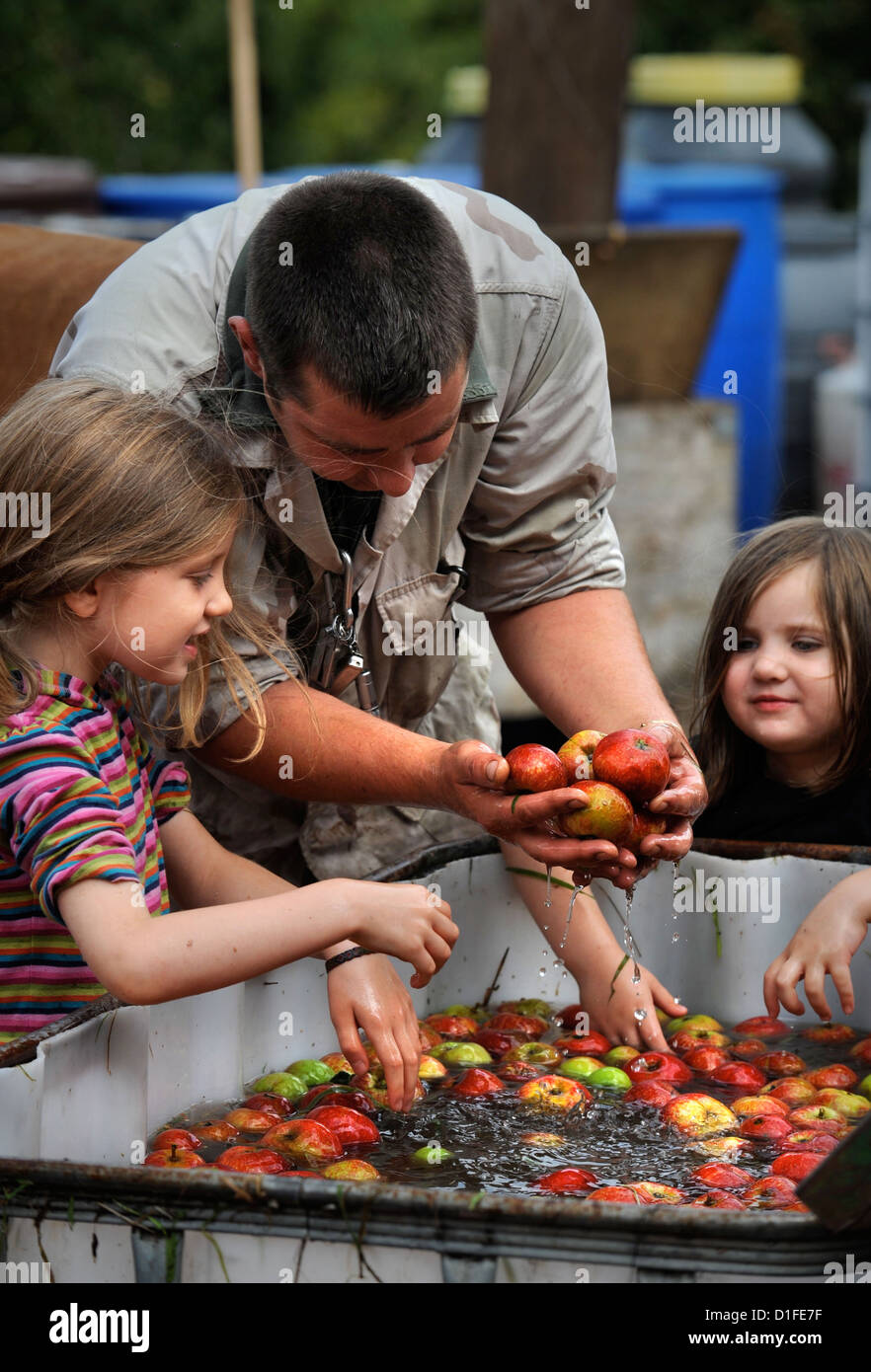 Eine Familie von Apfelwein-Macher Maischen Äpfel vor dem Pressen in Broome Farm in der Nähe von Ross-on-Wye UK wo gibt es freie Campen und Tasti Stockfoto