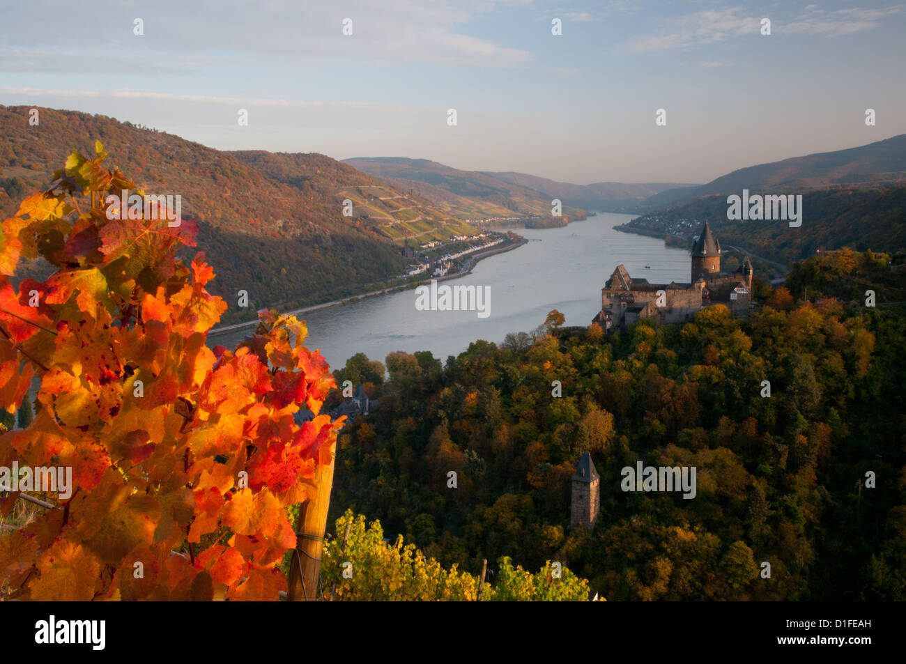 Herbstliche Reben auf Burg Stahleck Rhine Castle, Bacharach, Rheinland-Pfalz, Deutschland Stockfoto