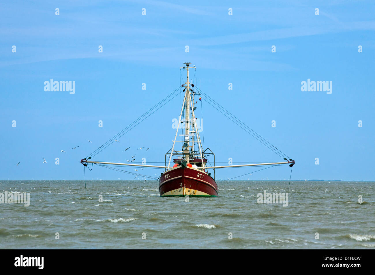 Red Garnelen Boot Angeln für Garnelen in Wadden Meer, Nordfriesland, Deutschland Stockfoto