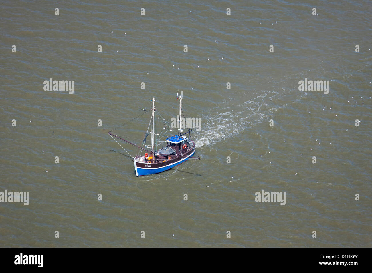 Luftaufnahme des blauen Garnelen Boot Angeln für Garnelen in Wadden Meer, Nordfriesland, Deutschland Stockfoto