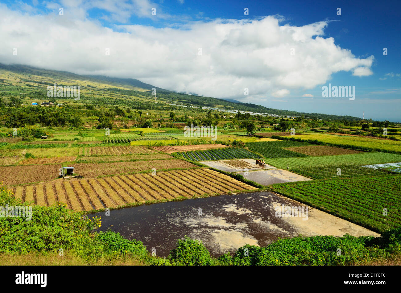 Kulturlandschaft, in der Nähe von Sembalun Lawang, Lombok, Indonesien, Südostasien, Asien Stockfoto