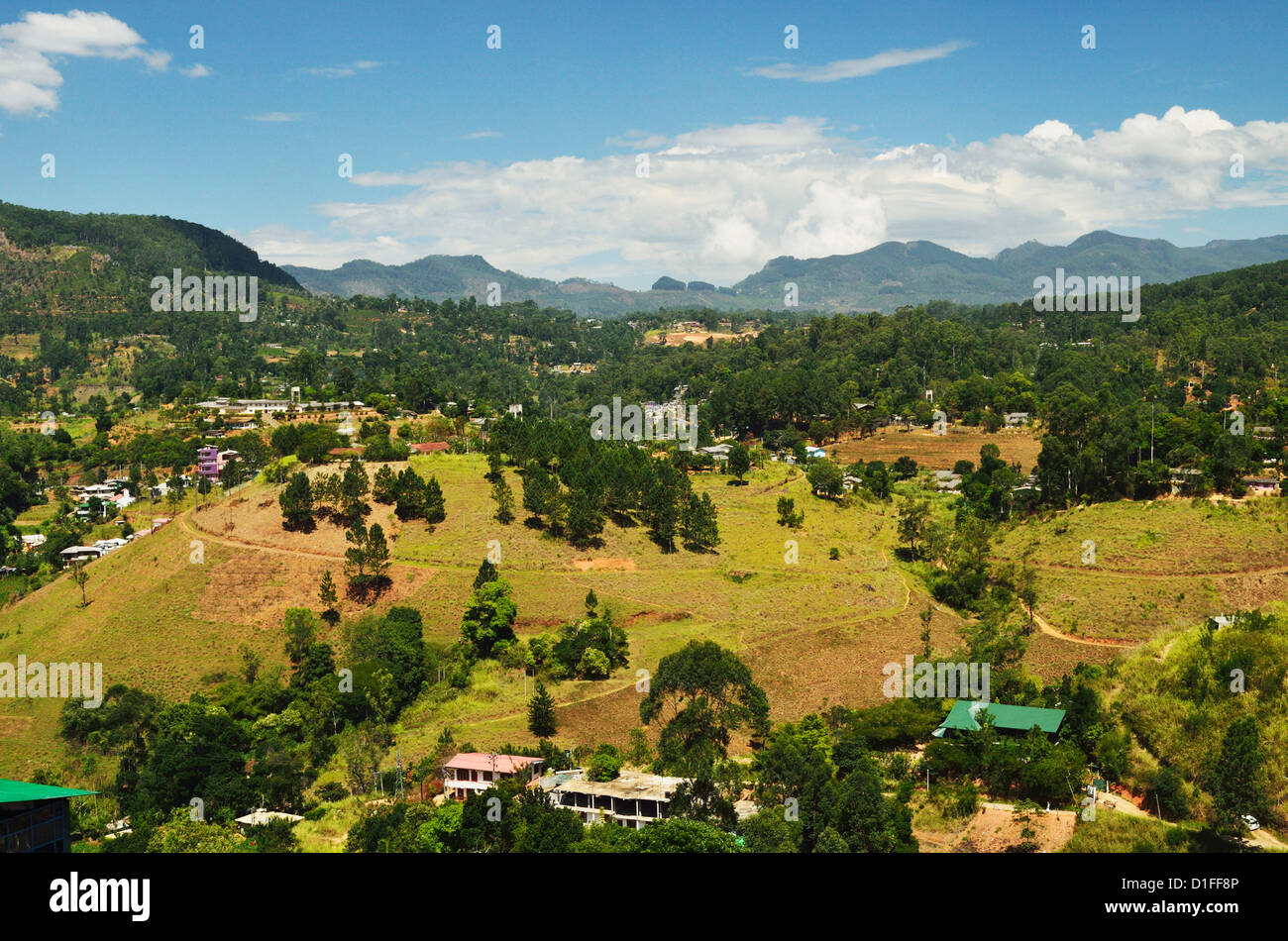 Hochland, Sri Lanka, Asien Stockfoto