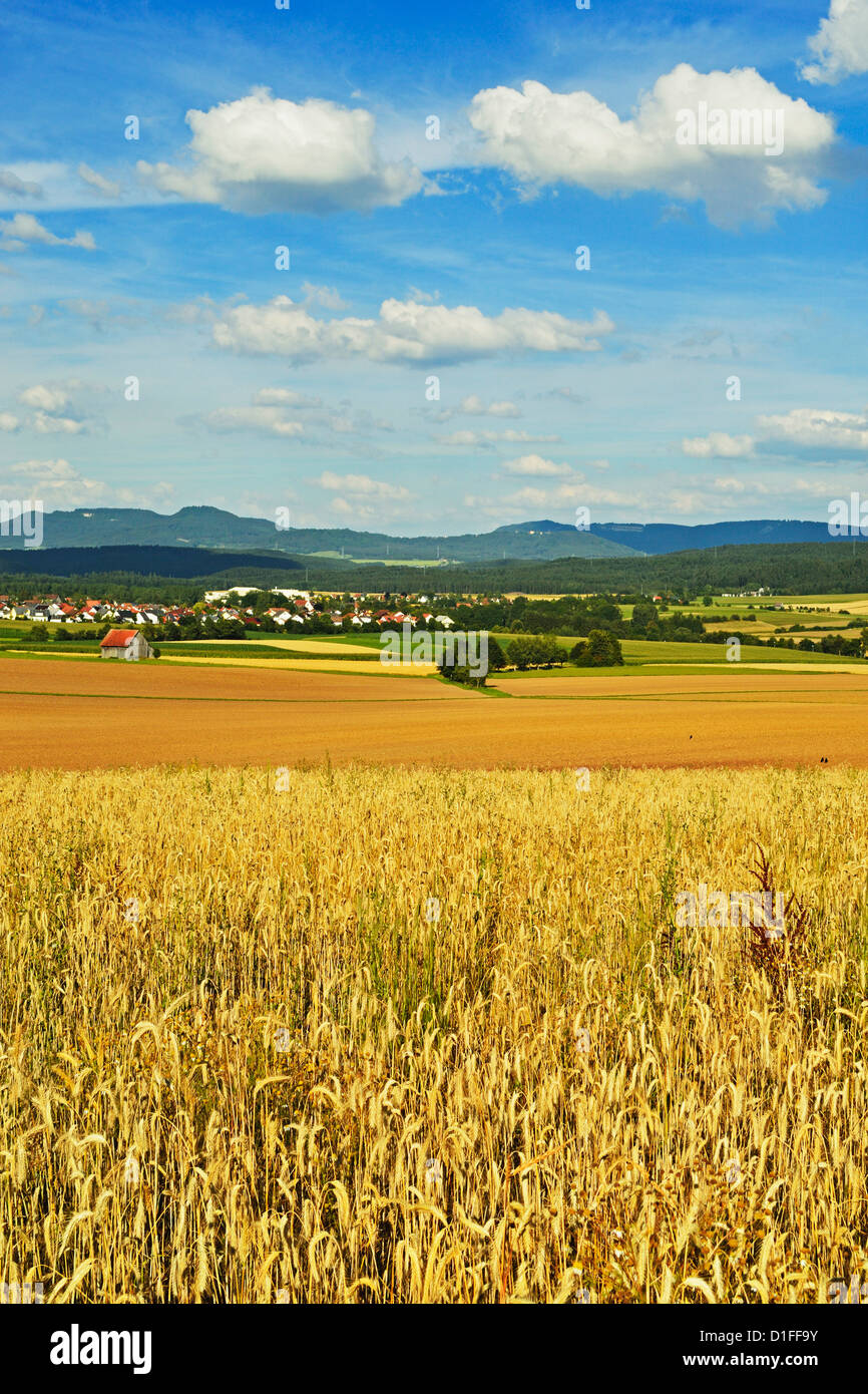 Ländliches Motiv, Dorf Lauffen, in der Nähe von Rottweil, Schwarzwald, Schwarzwald-Baar, Baden-Wurttemberg, Deutschland, Europa Stockfoto