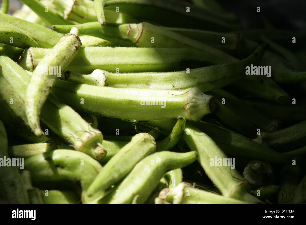 Lalo, Mauritius wie dieses Gemüse essen Stockfoto