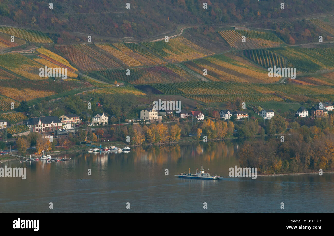 Rheinland im Herbst, gold.coloured Weinberge, Rheintal Stockfoto