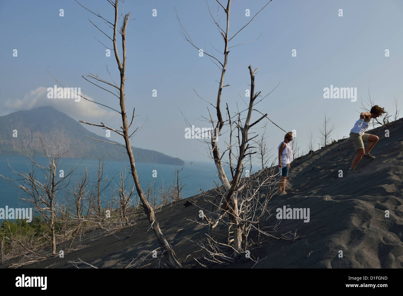 Abgebranntes Bäume mit der Insel Rakata im Hintergrund während zwei Touristen den steilen Hang des Krakatau verhandeln; West-Java. Stockfoto