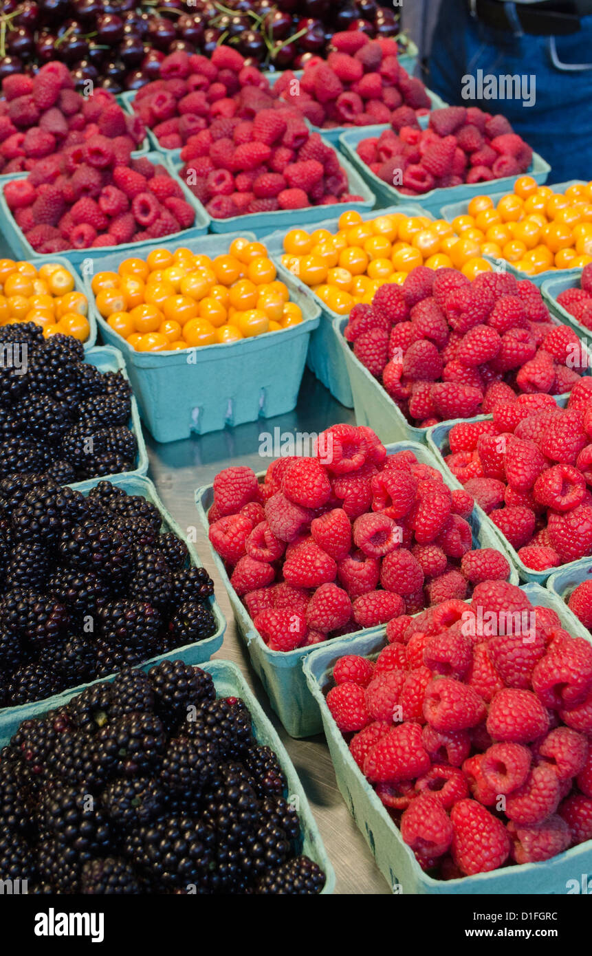 Frisches Obst in Agrar-Markt Vancouver British Columbia Kanada Stockfoto