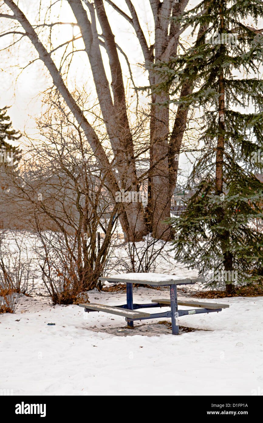 Calgary Tuxedo Park im Winter, und einen ruhigen Picknickbank Fußspuren im Schnee zeigen, dass es die gelegentliche Besucher bekommt. Stockfoto