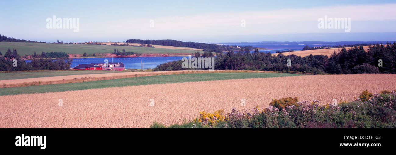 French River, PEI, Prince Edward Island, Canada - Roggenfeld und Landwirtschaft Land umgeben ein Fischerdorf, Panoramablick Stockfoto