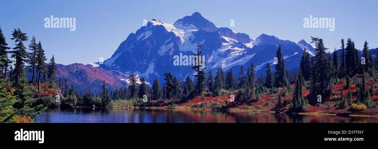 Mt Shuksan über "Heather Wiesen" Almwiese im Mount Baker - Snoqualmie National Forest Area, Washington USA - Herbst, Herbst Stockfoto