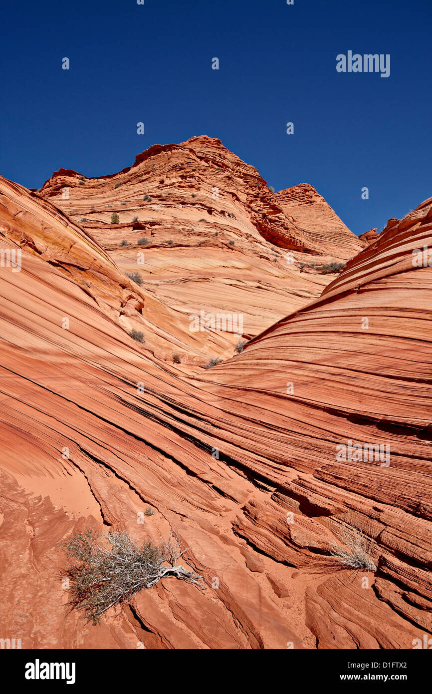 Die Mini Wellenbildung, Coyote Buttes Wilderness, Vermillion Cliffs National Monument, Arizona, Vereinigte Staaten von Amerika Stockfoto