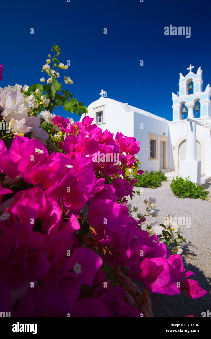 Griechische Kirche und Blumen, Santorini, Cyclades, griechische Inseln, Griechenland, Europa Stockfoto