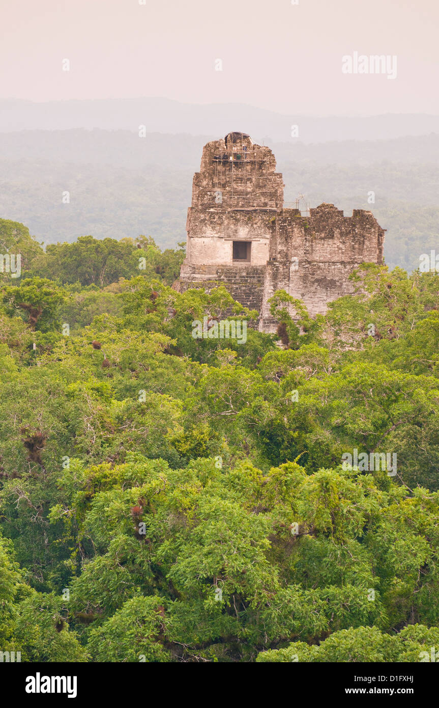 Tikal National Park (Parque Nacional Tikal), UNESCO World Heritage Site, Guatemala, Mittelamerika Stockfoto