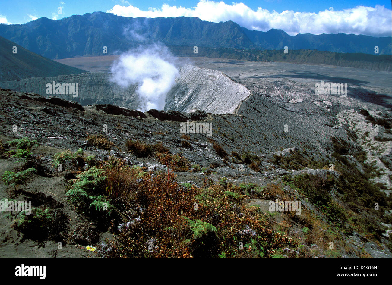 Caldeira und Bromo 2329 m und Semeru auf 3676m, Vulkane auf Java, Indonesien, Südostasien, Asien Stockfoto