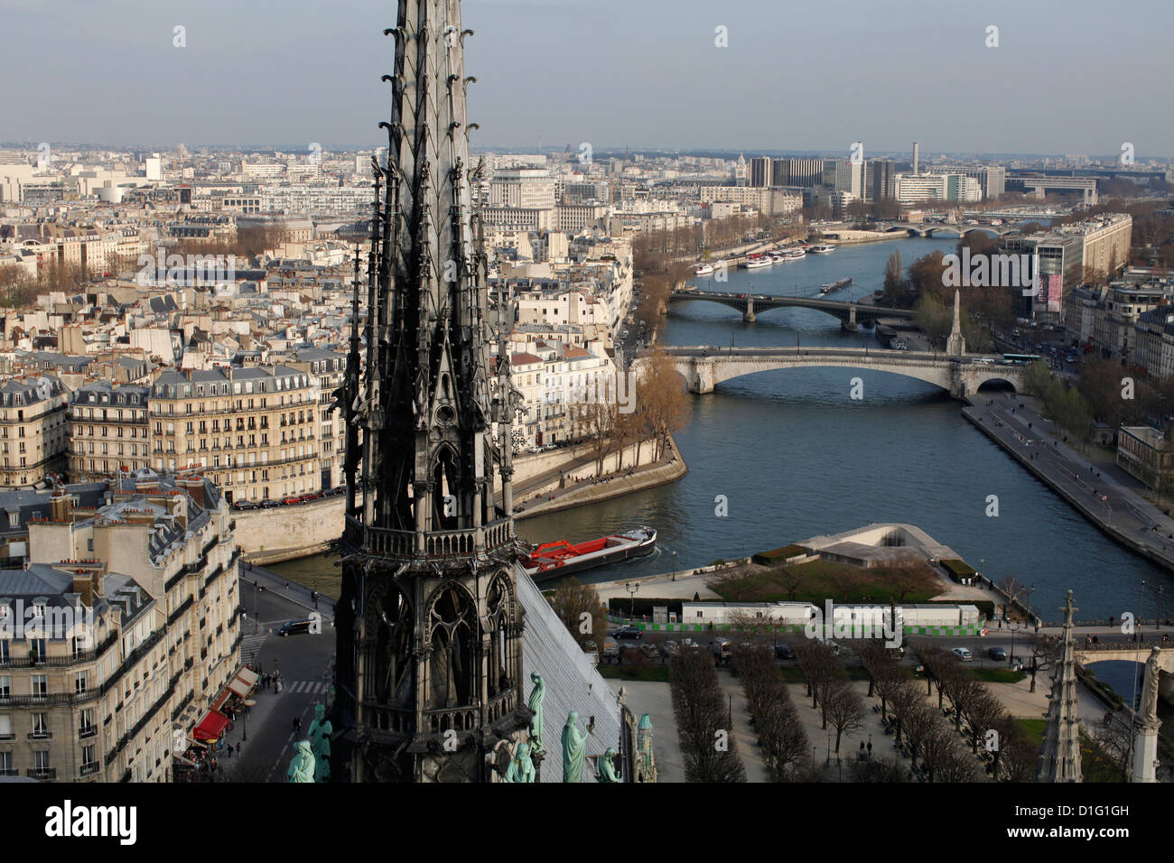 Blick von der Kathedrale Notre-Dame Dach, Paris, Frankreich, Europa Stockfoto