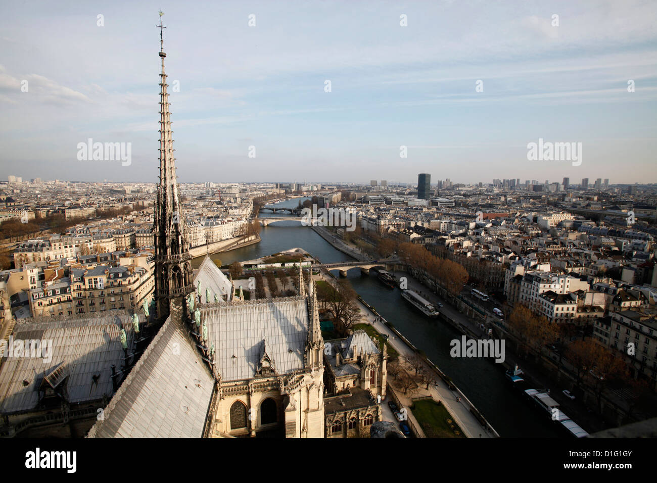 Blick von der Kathedrale Notre-Dame Dach, Paris, Frankreich, Europa Stockfoto