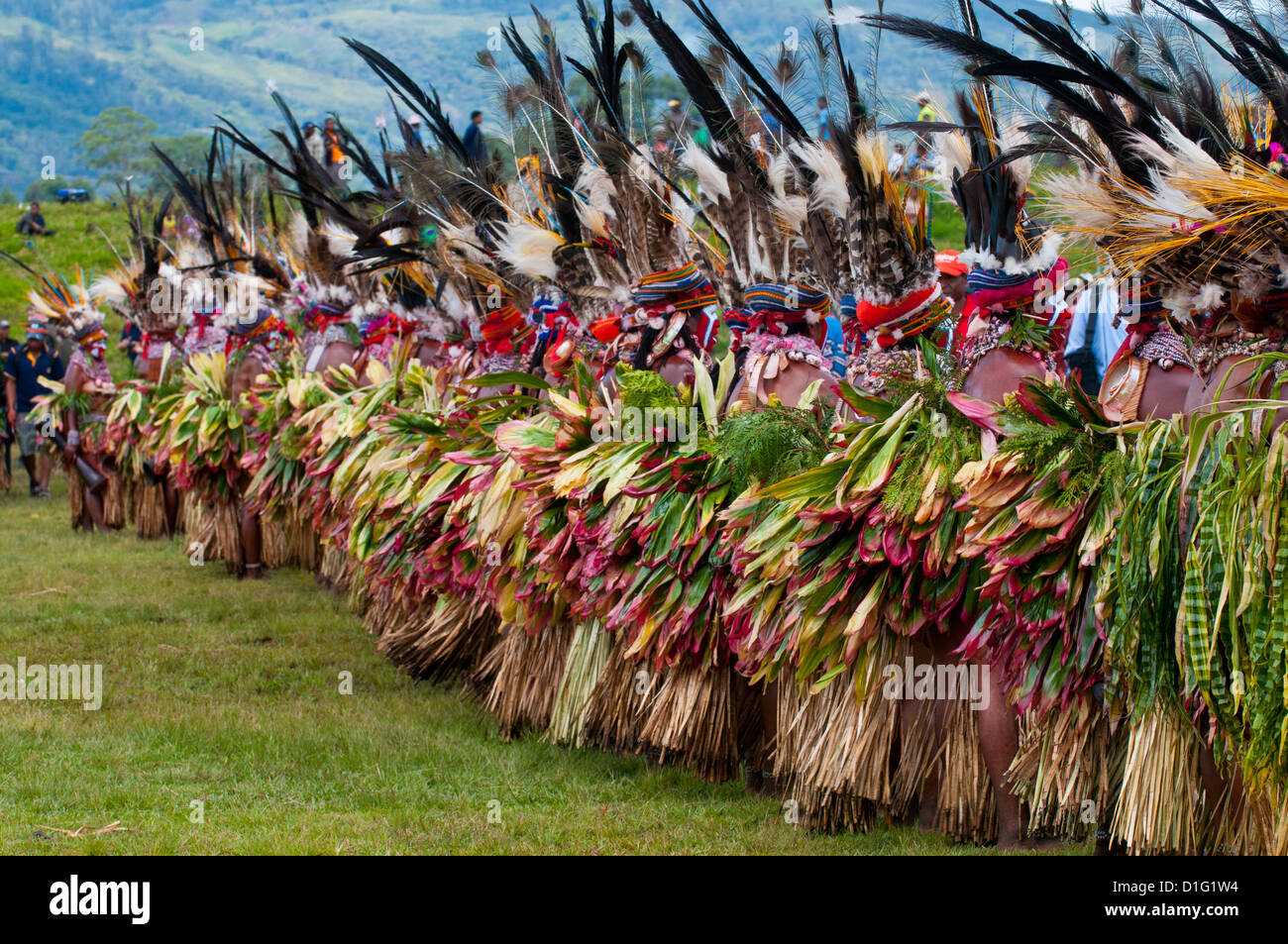 Bunt gekleidet und Gesicht gemalt lokalen Stämme feiert die traditionelle Sing Sing in den Highlands, Papua-Neu-Guinea Stockfoto