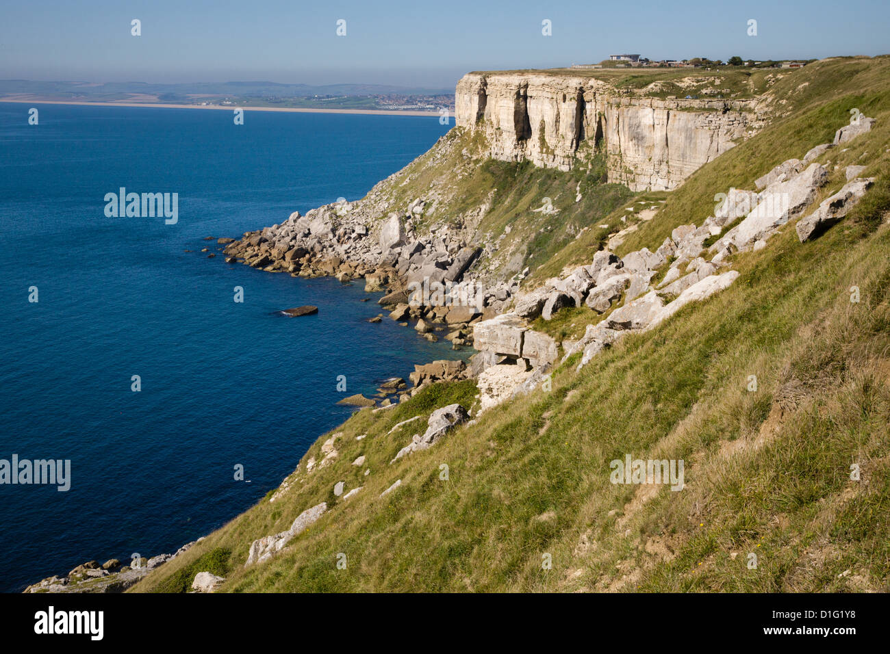 Senkrechten Felswänden aus Portland-Kalkstein auf West Küste von Portland Bill Dorset UK Stockfoto