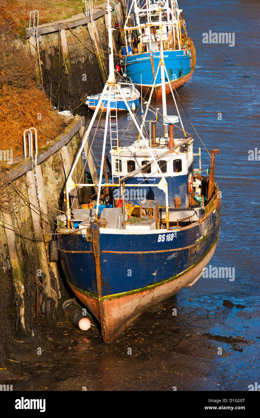 Viking Warrior BS188 goldene Litze Trawler in Amlwch Port Anglesey North Wales Uk geboren. Stockfoto