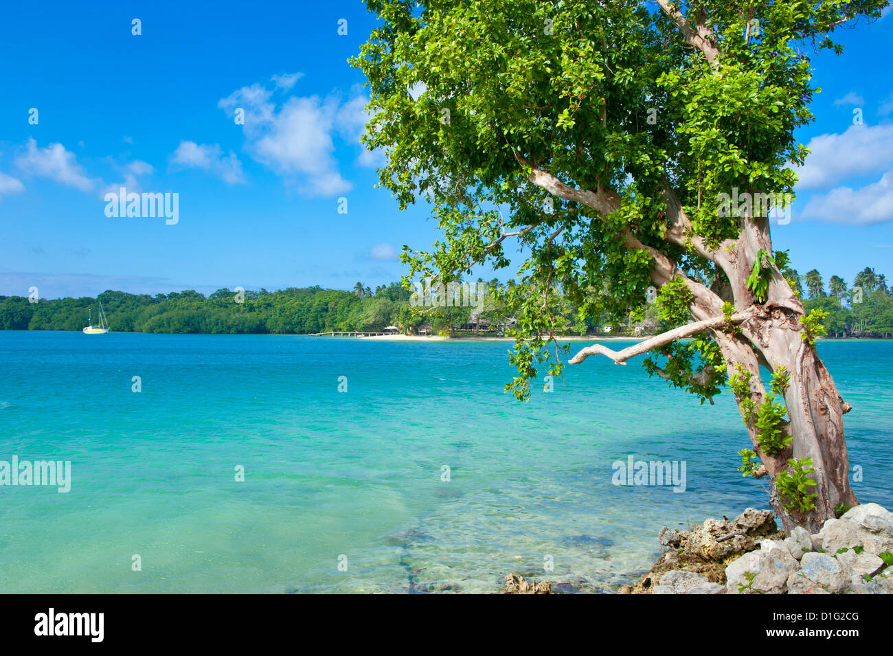 Blick über die Bucht nach Oyster Insel, Insel Espiritu Santo, Vanuatu, South Pacific, Pazifik Stockfoto