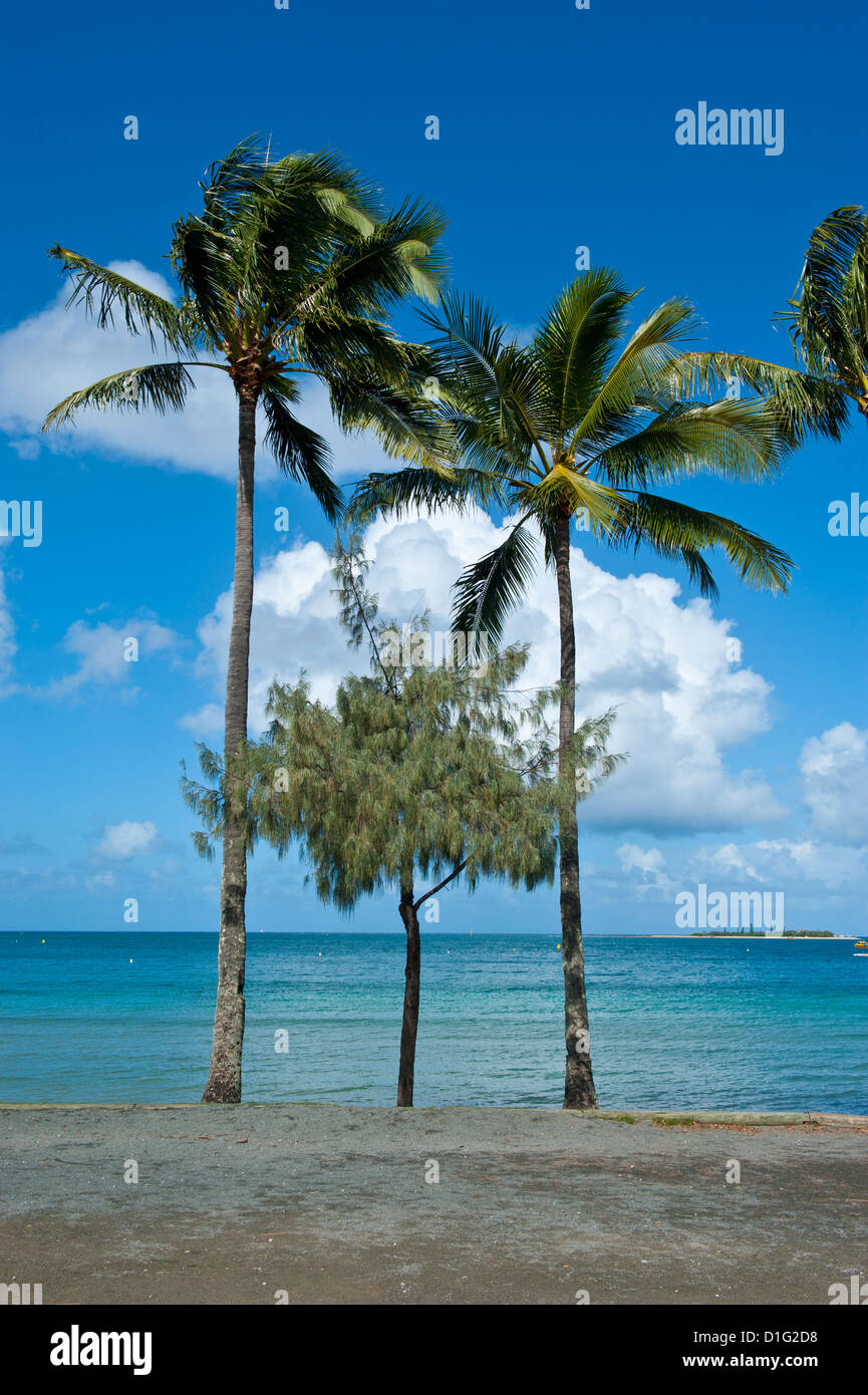 Strand in Noumea, Neukaledonien, Melanesien, Südsee, Pazifik Stockfoto