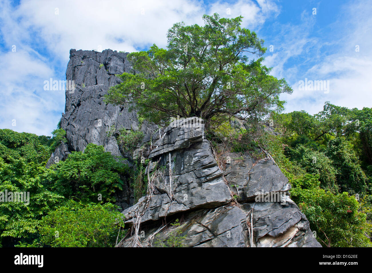 Die Linderalique Felsen in Hienghene an der Ostküste von Grande Terre, Neukaledonien, Melanesien, Südsee, Pazifik Stockfoto