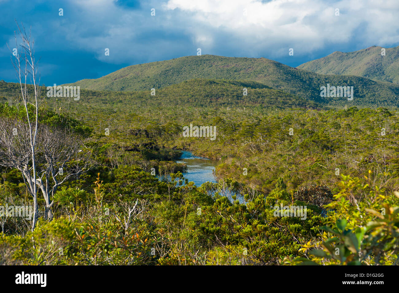 Landschaft in der Nähe der Wasserfälle Chutes De La Madeleine auf den Süden von Grande Terre, Neukaledonien, Melanesien, Südsee Stockfoto