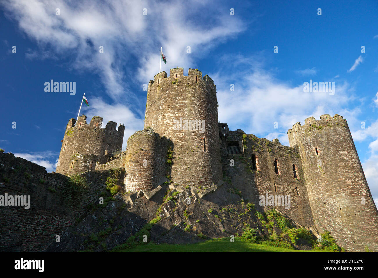 Conwy mittelalterliche Burg im Sommer, zum UNESCO-Weltkulturerbe, Gwynedd, Nordwales, Vereinigtes Königreich, Europa Stockfoto