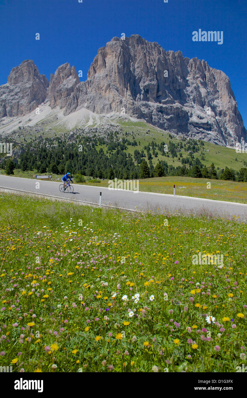 Radfahrer und Langkofel Gruppe, Sellajoch, Trient und Bozen Provinzen, Dolomiten, Italien, Europa Stockfoto