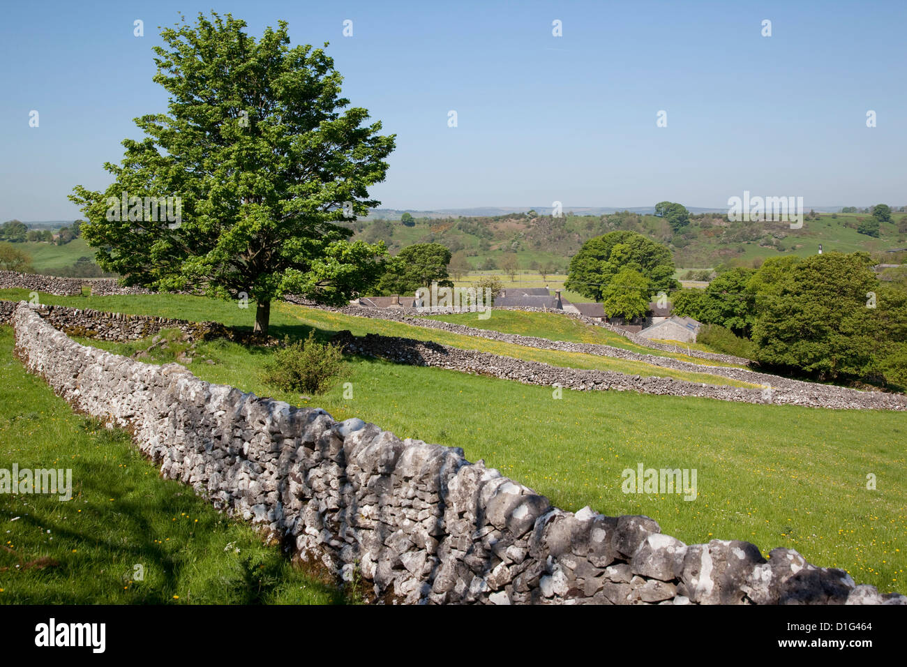 Trockenmauern, Hartington, Peak District, Derbyshire, England, Vereinigtes Königreich, Europa Stockfoto