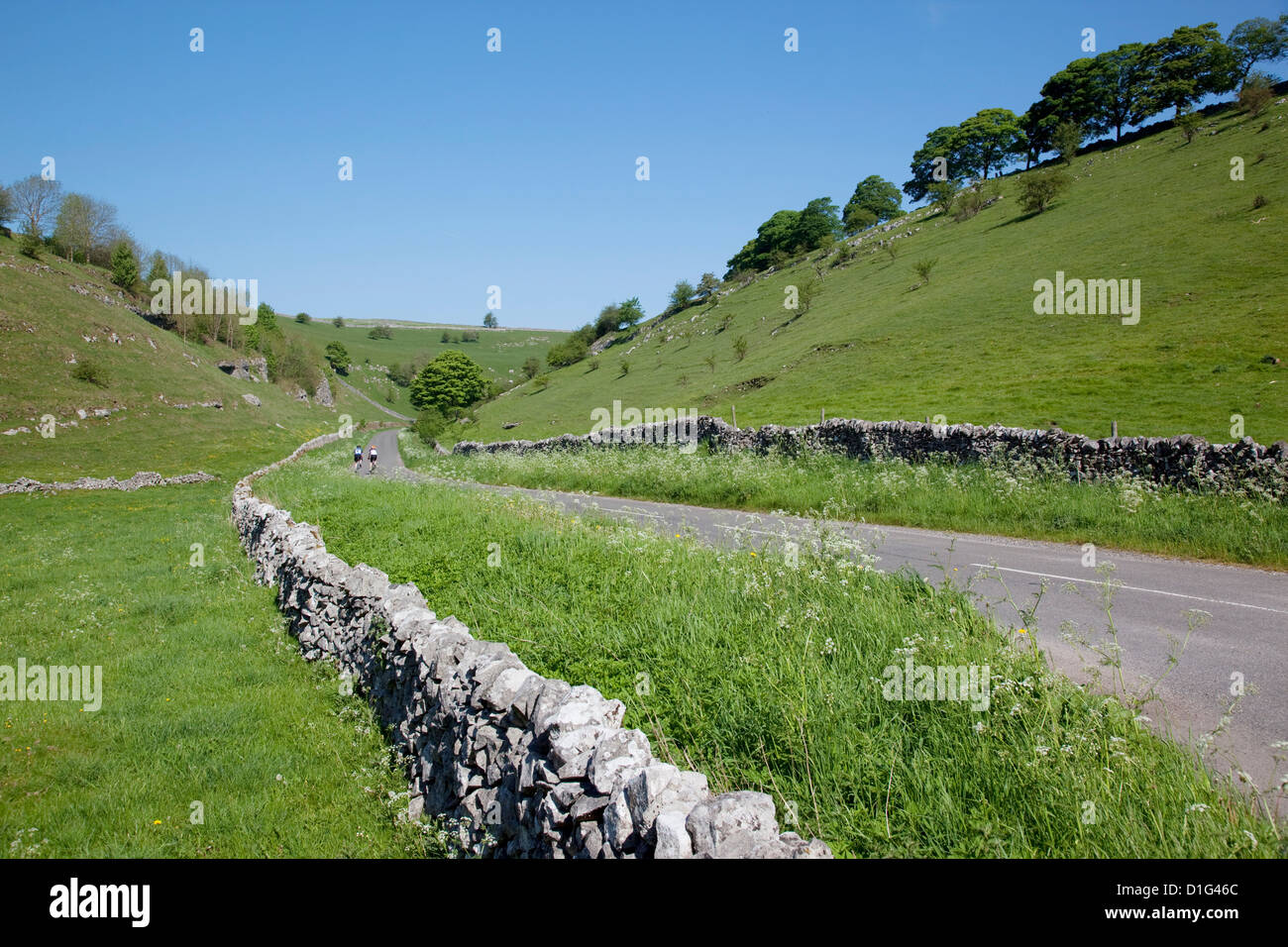 Lange Dale in der Nähe von Hartington, Peak District, Derbyshire, England, Vereinigtes Königreich, Europa Stockfoto