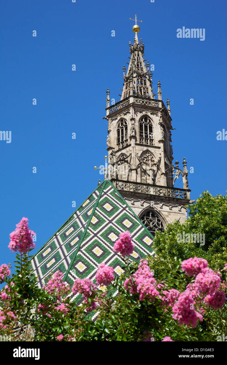 Dom, Walther Platz, Bozen, Provinz Bozen, Trentinto-Alto Adige, Italien, Europa Stockfoto