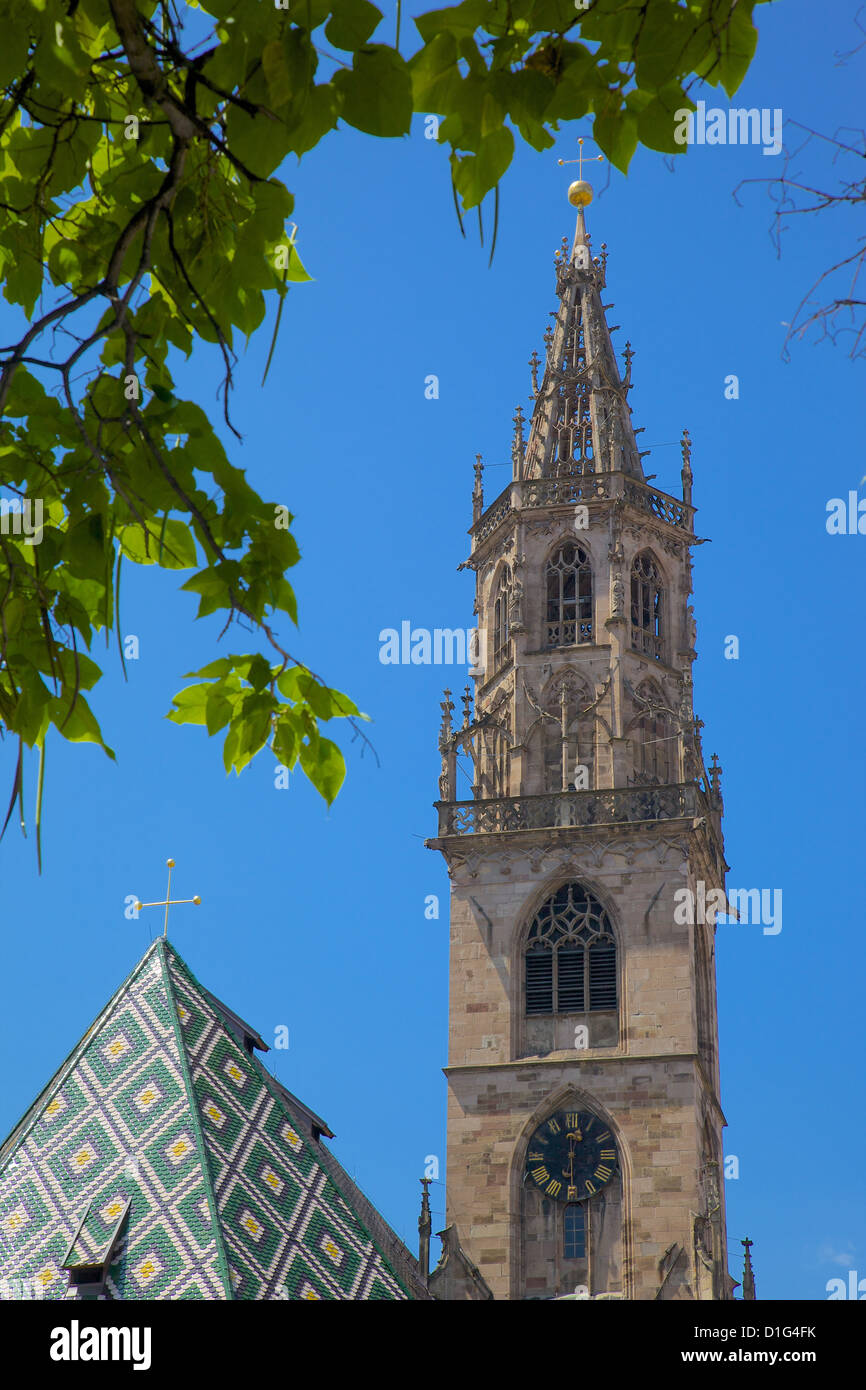 Dom, Walther Platz, Bozen, Provinz Bozen, Trentino-Alto Adige, Italien, Europa Stockfoto