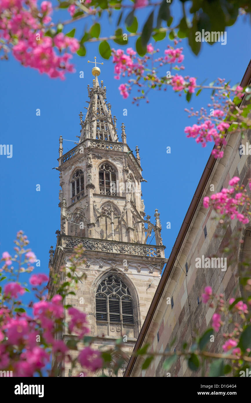 Dom, Walther Platz, Bozen, Provinz Bozen, Trentino-Alto Adige, Italien, Europa Stockfoto