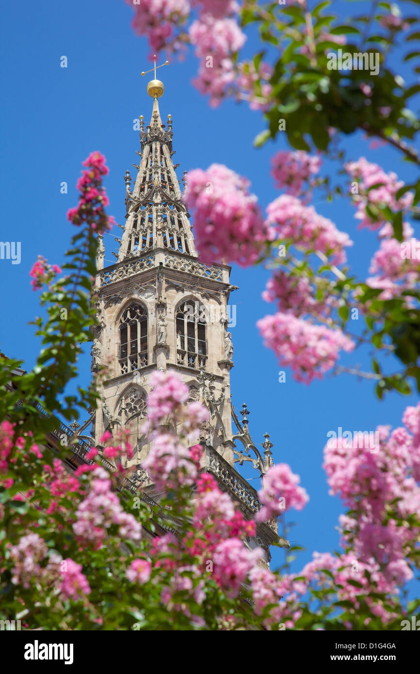 Dom, Walther Platz, Bozen, Provinz Bozen, Trentino-Alto Adige, Italien, Europa Stockfoto