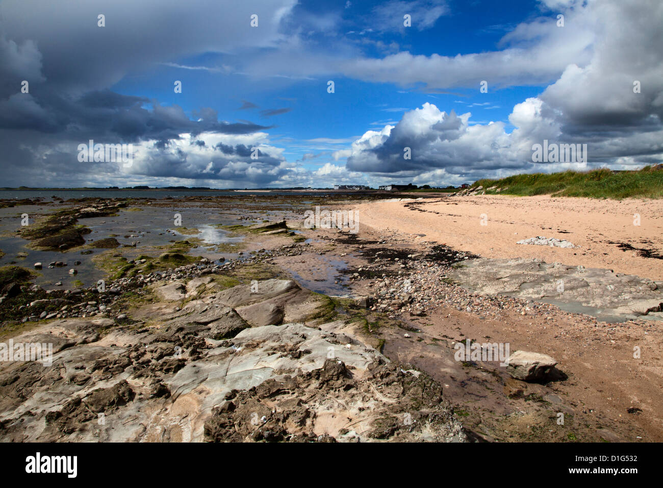 Felsen am Strand von Carnoustie, Angus, Schottland, Vereinigtes Königreich, Europa Stockfoto